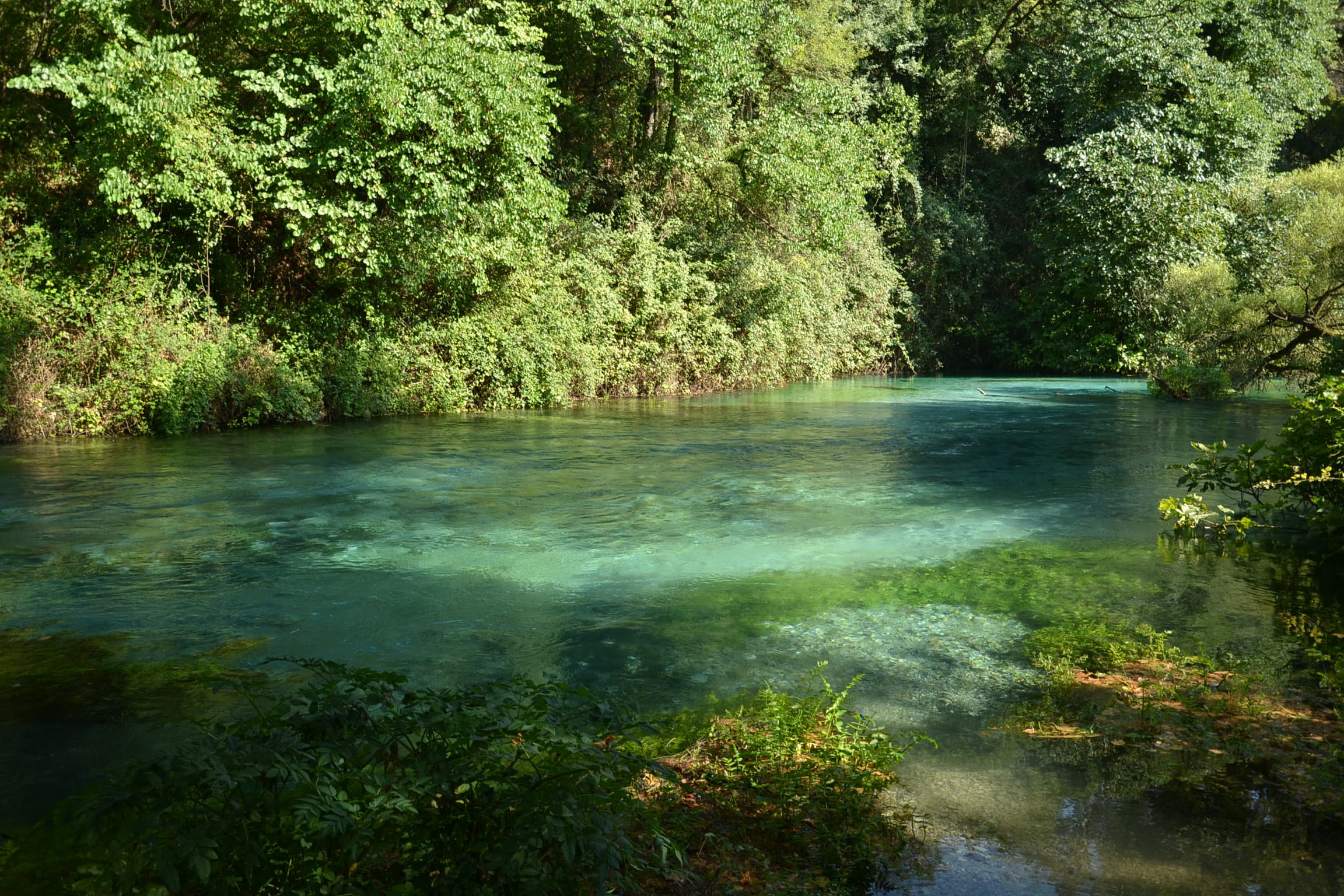 Blue Eye Spring